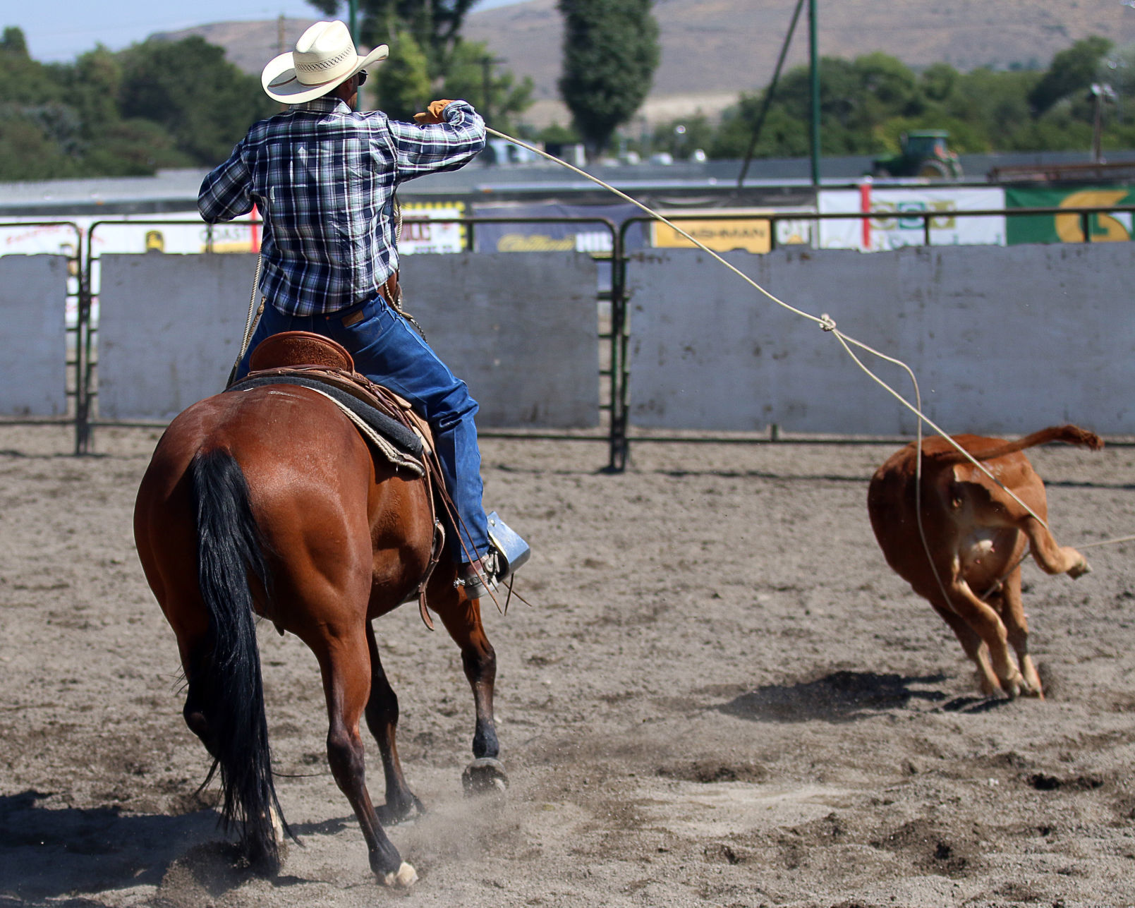 2018 Elko County Fair Open Branding Finals (39).JPG